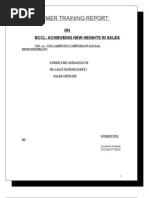 Summer Training Report