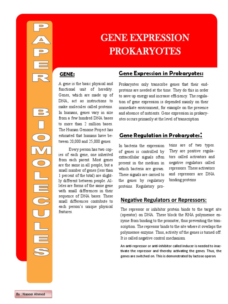 Gene Regulation and Operons in Prokaryotes | PDF | Operon | Repressor
