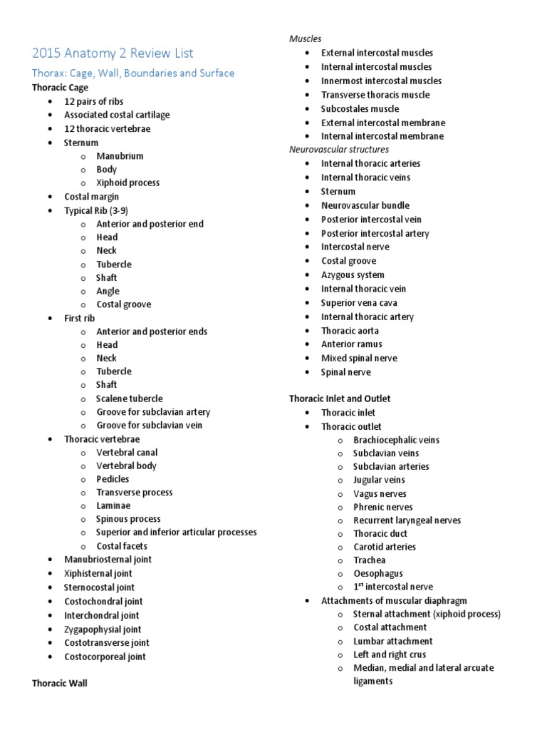 Comprehensive Anatomy Review 2015 | PDF | Heart Valve | Vertebra