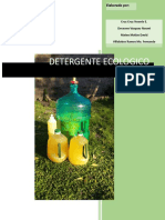 Detergente Ecológico proyecto
