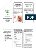 Leaflet Appendicsitis