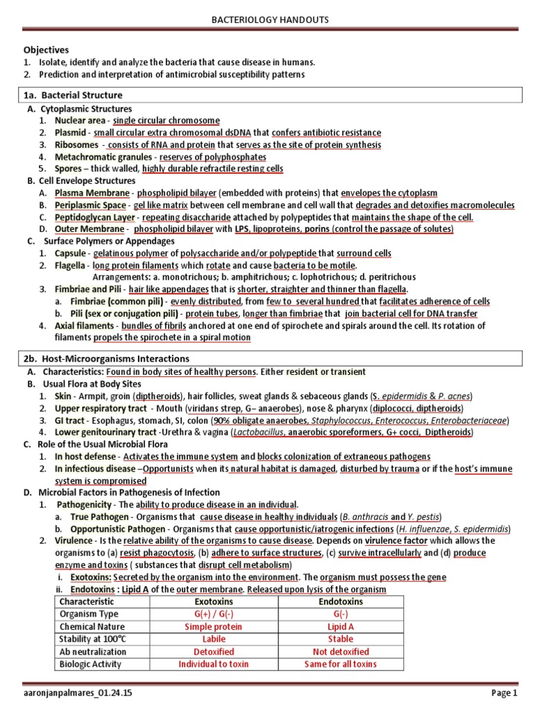 Bacterial Identification and Analysis | PDF | Streptococcus | Growth Medium