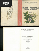 deliciosa plant Swiss Cheese Plant