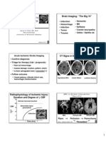 Neurorad 2 Brain