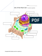 Label Plant Cell