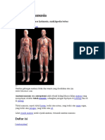 anatomi tubuh manusia.doc