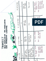 Transect