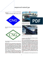 Compressed Natural Gas PDF