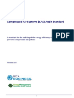 CAS_Audit_Std_v1.0.pdf