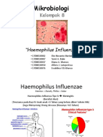 Kelompok 8 - Haemophilus Influenzae