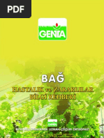 Bag Hastalık Ve Zararlıları