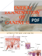 Viral Diseases of Alimentary Canal in Canines