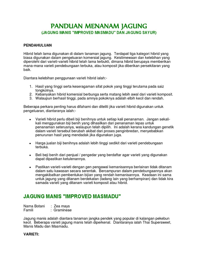 Panduan Menanam Jagung  PDF