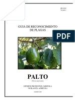 Palto.pdf