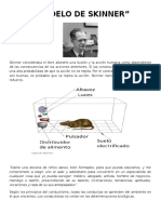 Exposicion Skinner Modelo