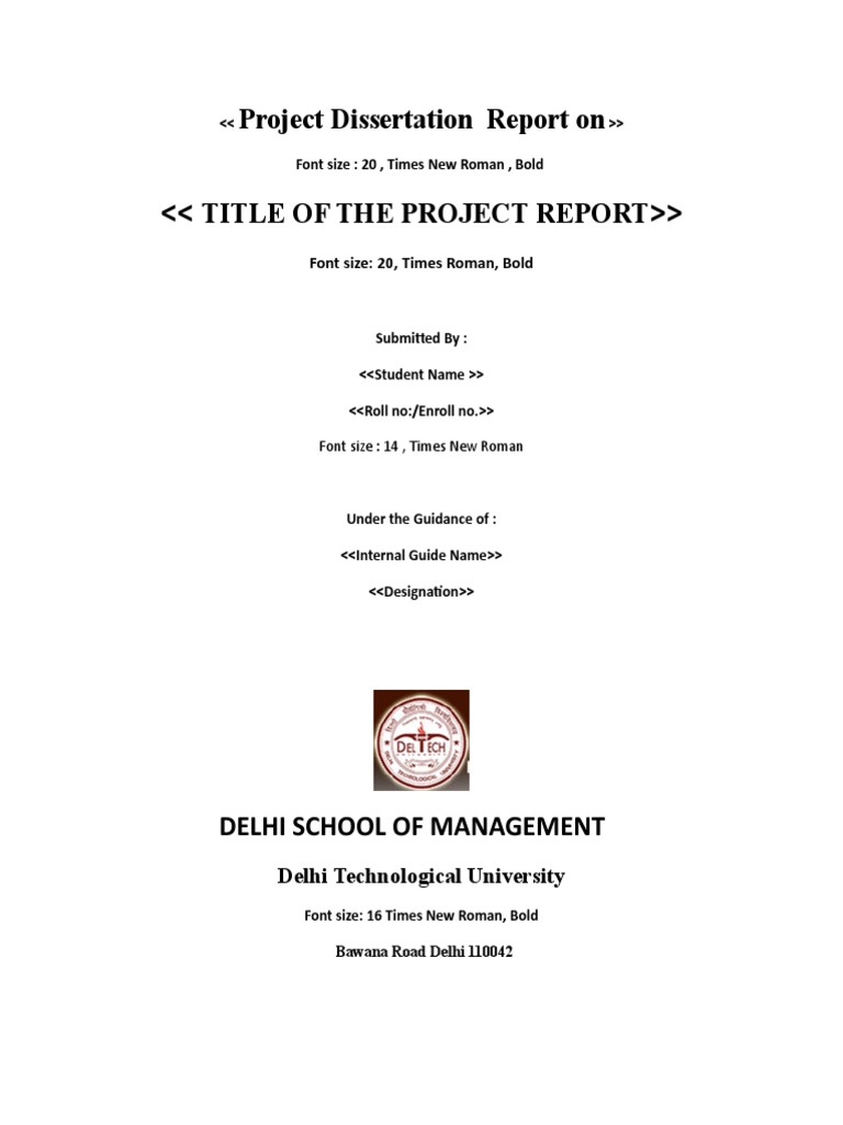 Summer Internship Report Guidelines | PDF | Times New Roman | Data