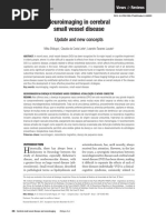 Medial Temporal Lobe and Memory System