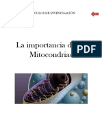 AI Mitocondrias