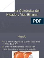 Anatomia Quirurgica Del Higado y Vias Biliares