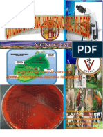 Quimioterapia de Microorganismos