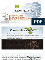 Nutricion vegetal-ppt.pptx