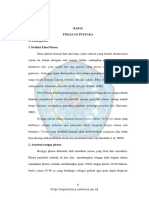 5.BAB II.pdf