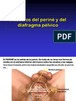 11. Diafragma Pélvico y Periné