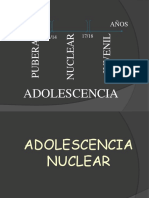 Adolescencia Nuclear y Juvenil PPT y Teorias