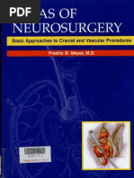 3d Angiographic Atlas Of Neurovascular Anatomy And Pathology Aorta Common Carotid Artery