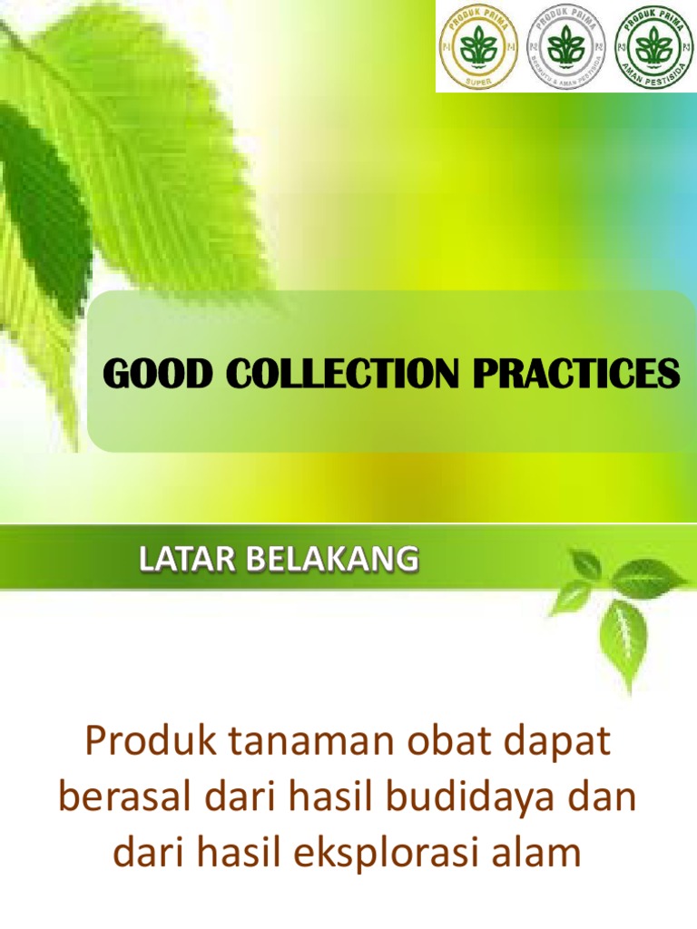 Panduan Panen Tanaman Obat Optimal | PDF