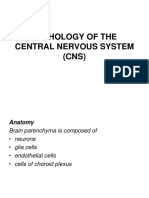 Pathology of the Central Nervous System (CNS