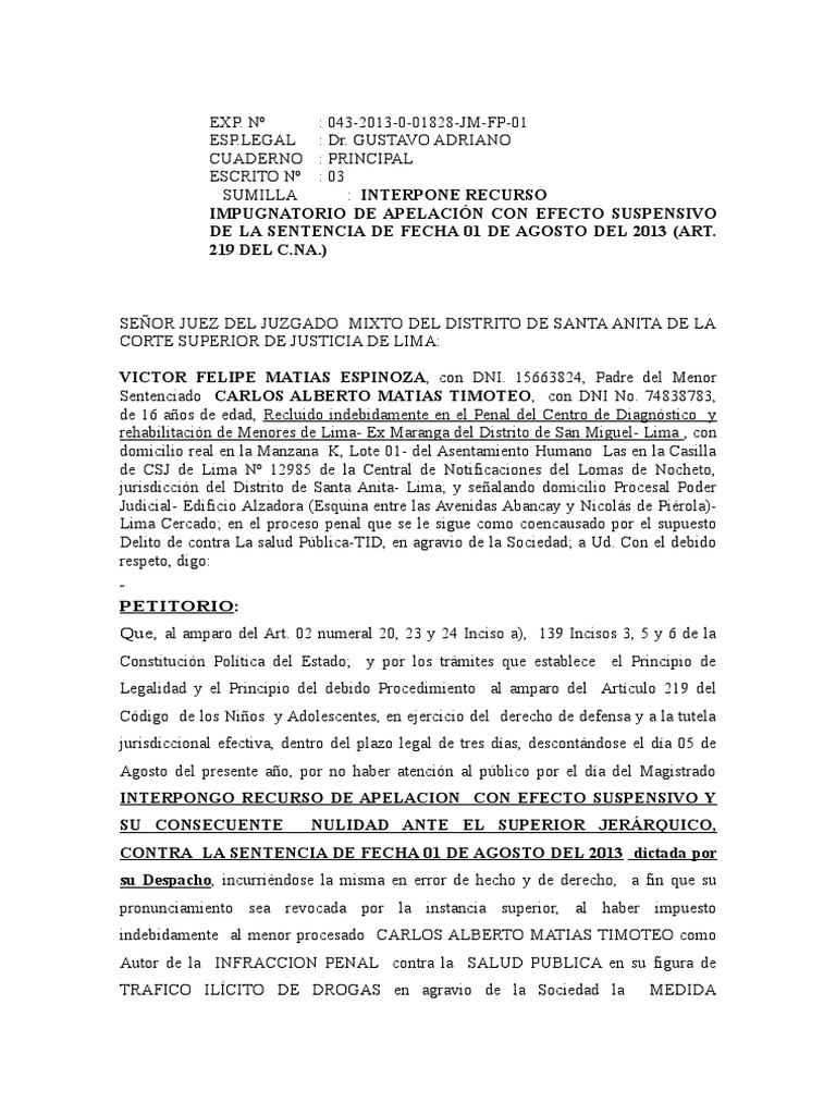 APELACION SENTENCIA PENAL J. MORALES.doc | Habeas corpus | Ley procesal