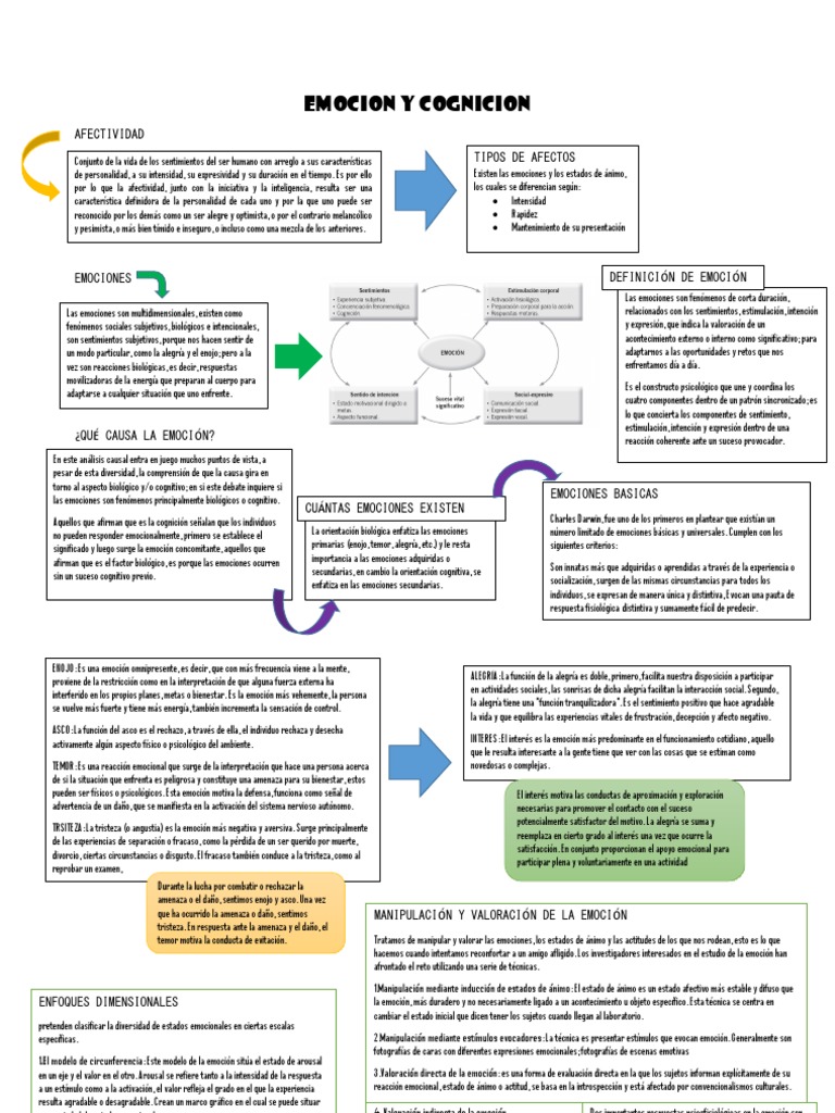 Emoción y Cognición: Un Análisis | PDF | Las emociones | Memoria