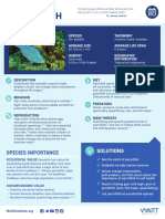 Protect parrotfish to protect reefs