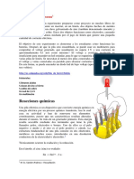 Aaa013 PDF