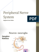 Peripheral Nerve System