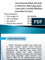 Uji Antimalaria Ekstrak Buah Morinda Citrifolia Dan Aktivitas