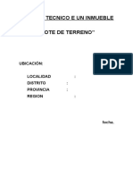 Informe Tecnico de Un Inmueble