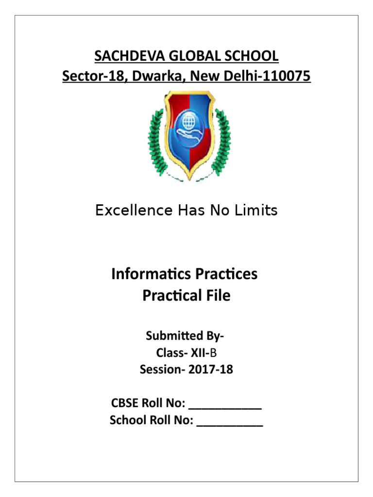Informatics Practices Practical File | PDF