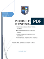 Informe Final - Puentes Bailey