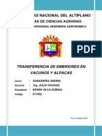 161266993-Transferencia-de-Embriones.docx