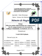 Aliage D'aluminium PDF