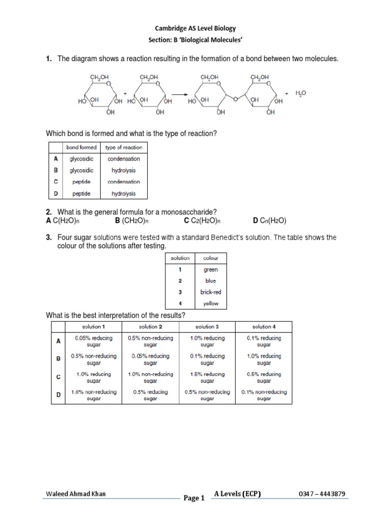 Biological Molecules in AS Level Biology | PDF | Hydrolysis | Biomolecules