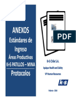 Estandares de Ingreso - Areas K+S PDF