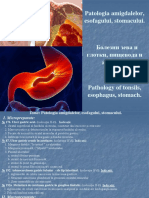 6. Patologia Amigdalelor Esofagului Stomacului