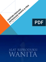 Anatomi Fisiologi Reproduksi Wanita & Pria