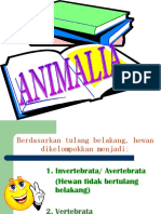 Powerpoint ANIMALIA Vertebrata