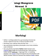 Morfologi Mangrove