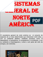 Ecosistemas de Norte America