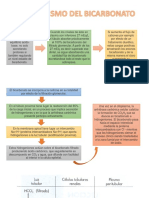 Metabolismo Del Bicarbonato